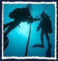Tauchen bei Coraya Divers in Marsa Alam &Auml;gypten