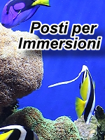 Posti per immersioni