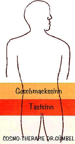 SinneMenschbraun3.gif