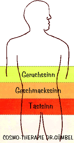 SinneMenschbraun4.gif