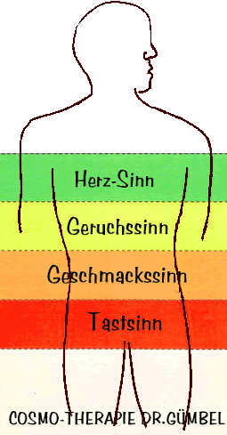 SinneMenschbraun5.gif