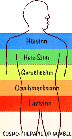 SinneMenschbraun6.gif
