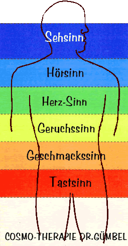 SinneMenschbraun7.gif