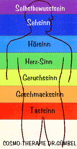 SinneMenschbraun8.gif