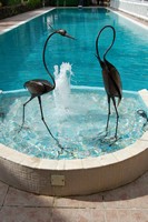 Am�nagements de jardin
