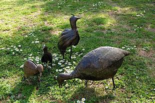 Faune et flore, l'art du Zimbabw&eacute;