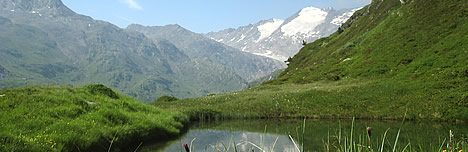 top.2.jpg