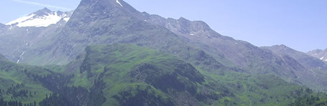 top-4.jpg