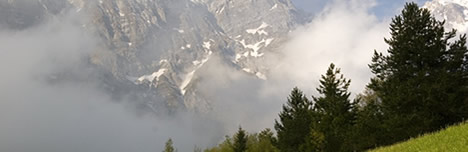 top-5.jpg