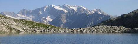 top-8.jpg