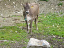 <b>L1020082.jpg</b><br>