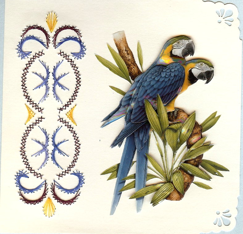 perroquet-bleu.jpg