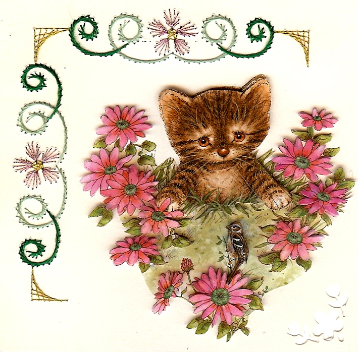 chat-dans-les-roses.jpg