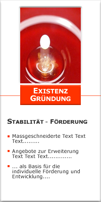 Willkommen bei creativ evolution_existenz gruendung_foerderung_stabilitaet