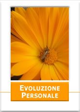 Evoluzione Personale con CreativEvolution