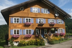 Immobilien kaufen