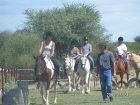 Reitschule3