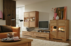 <b>Wohnwand</b><br><strong>Hier haben wir eine Wohnwand in einem sehr sch&ouml;nen&nbsp;Design .</strong>