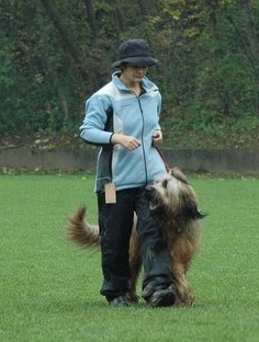 Beim Championnat