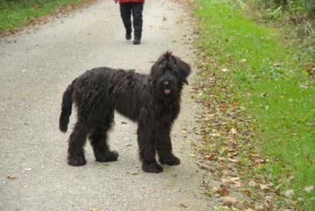 spaziergang zischendurch