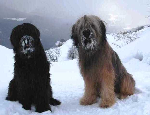 Dave und Deeogee in den Schneeferien