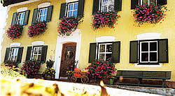 Beispiel Fensterladen