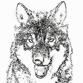 Wolf-Logo-Stift-SW