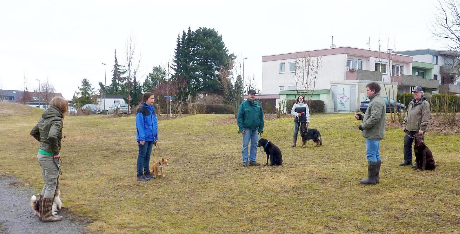 Hundeschule Gruppenarbeit - Anita Amthor