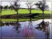 Tiefenweiher 