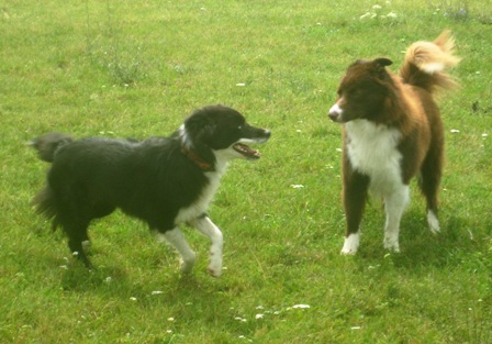 Edwina und Benco