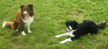 Benco und Edwina
