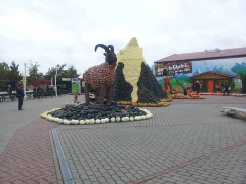 20131007_123108.jpg 20131007_123108.jpg