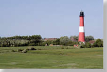 Nordseeinsel Pellworm