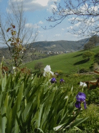 Lilien am Haus, Blick auf Avacelli, Naturpark