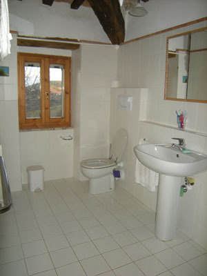 Badezimmer 1
