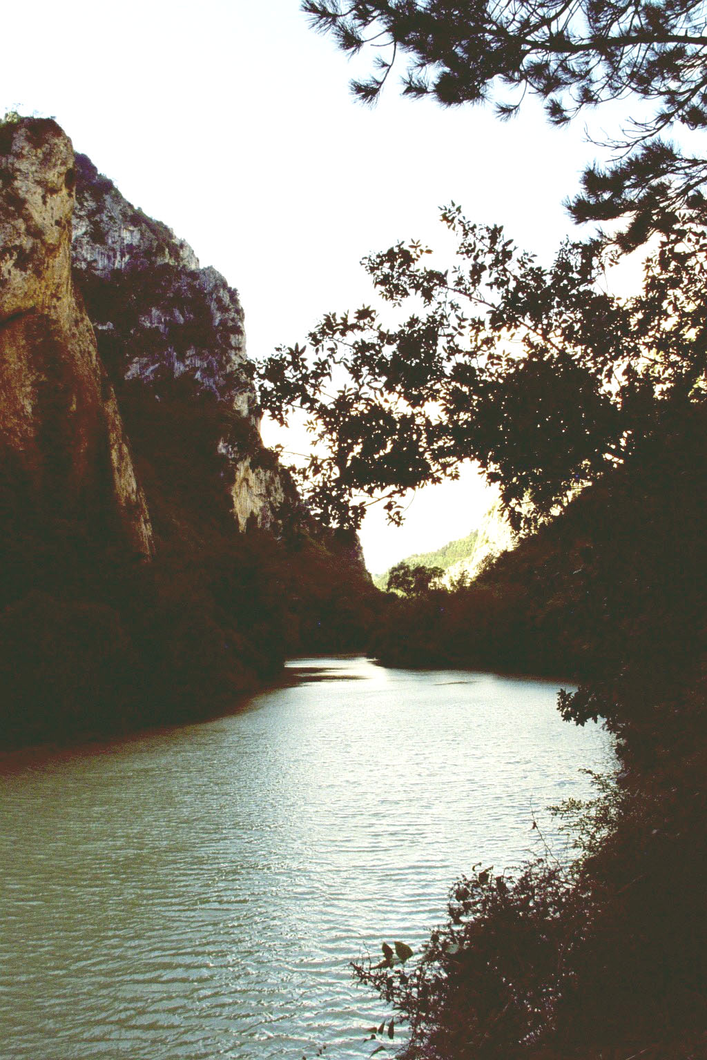 Furlo Schlucht in den Marken