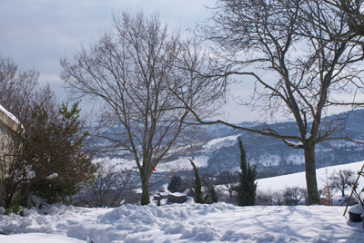 Blick im Winter