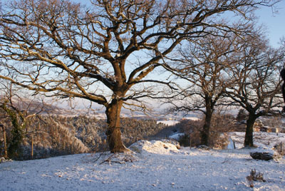Wintersonne zum Nachbarn