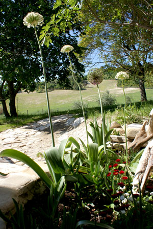 großer Garten im Naturpark, Alleinlage