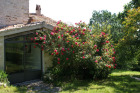 DSC01252.JPG