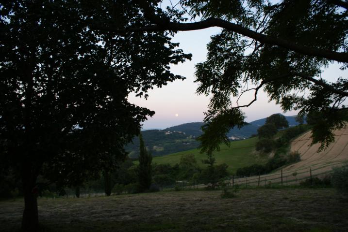 Blicl vom Garten bei Vollmond Richtung Avacelli