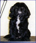 No. 3 Nachher