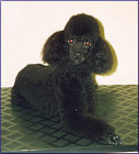 No. 4 Nachher