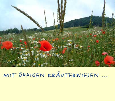 08.jpg