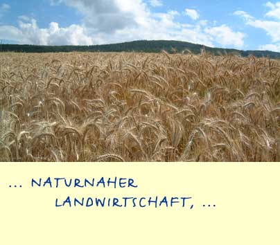 09.jpg