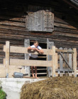 alm---5---2008.jpg alm---5---2008.jpg