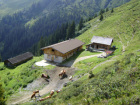 alm-grasin--2008.jpg alm-grasin--2008.jpg