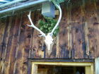 Sommer2008-054.jpg Sommer2008-054.jpg