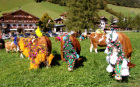 alm-09.jpg alm-09.jpg