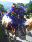 Almabtrieb-2007.jpg Almabtrieb-2007.jpg